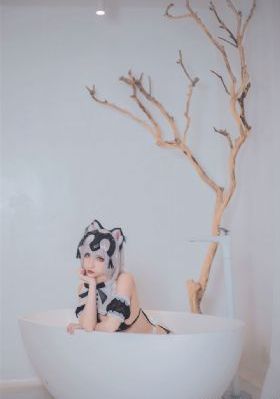 恋歌免费看26集免费看